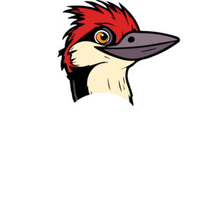SCR carpinteros
